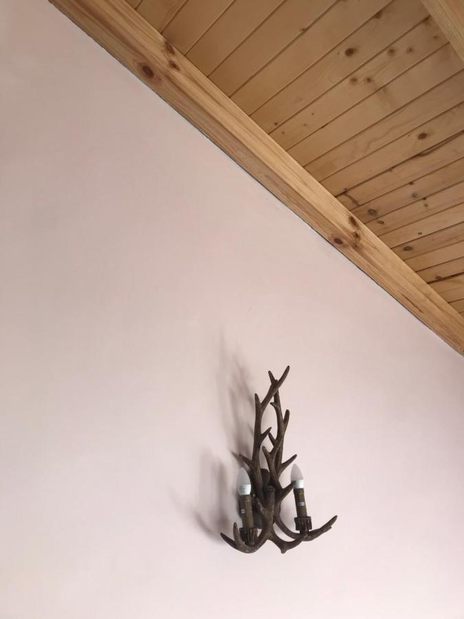 Комплекс Лебанов Hotel Yundola Bagian luar foto